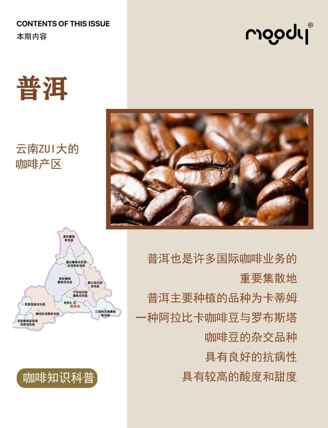 南咖啡：彩云之南的馥郁传奇PG电子麻将胡了模拟器云(图10)