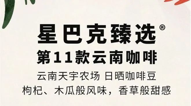 南咖啡：彩云之南的馥郁传奇PG电子麻将胡了模拟器云(图20)