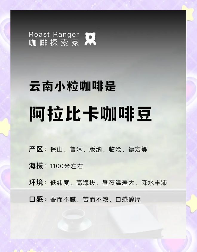 南咖啡：彩云之南的馥郁传奇PG电子麻将胡了模拟器云(图16)