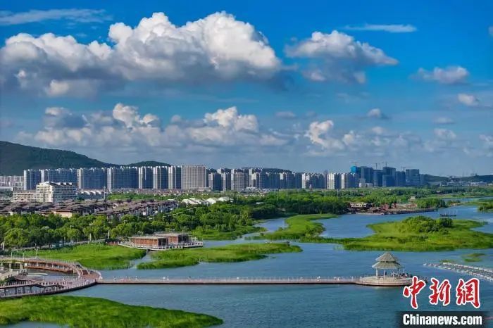 你真是“人均梗王”啊！麻将胡了试玩苏超联赛(图4)