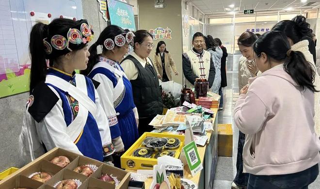 心共振兴丽江好物“空降”杨浦麻将胡了2试玩模拟器沪滇同(图3)